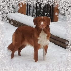 Meet your Posher, Krista